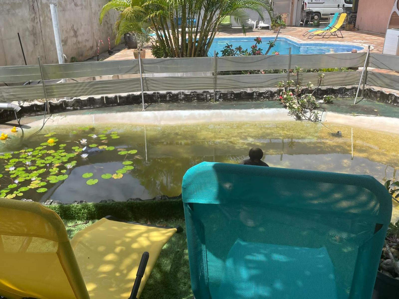 Kasentof Villa Cayenne Dış mekan fotoğraf
